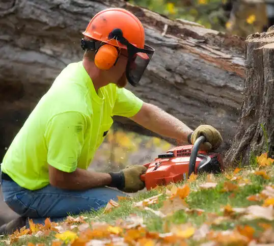 tree services Mayersville